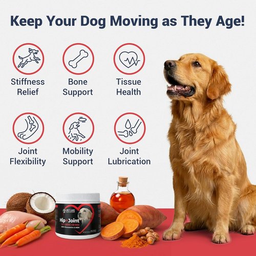 3-in-1 Advanced Dog Hip & Joint Supplement - Tasty Glucosamine Chews for All Breeds & Seniors - Chicken Flavor