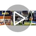 Halloween Inflatable Cow Skeleton 6FT Outdoor Yard Decoration with Lights