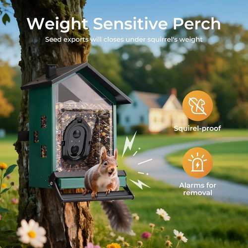 TT Nature Smart Bird Feeder - Solar-Powered Camera with AI Bird Identification | 3.2L Capacity, Green