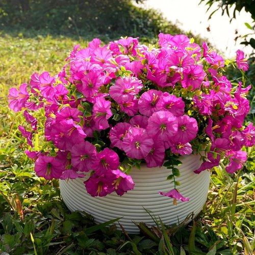 Fanfantoey Artificial Flowers - UV Resistant Silk Morning Glory Faux Plants | 14 Pcs for Outdoor Decor (Fuchsia)