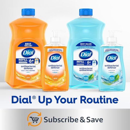 Dial Antibacterial Defense Liquid Hand Soap + Aloe, Sandalwood & Vanilla Scent, 11 Fl Oz (Pack of 12), Dermatologist-Tested Hand Wash, Gentle Formula