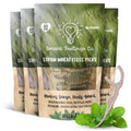 Biodegradable Dental Floss Picks 200 Count | Eco-Friendly Bamboo Like Sustainable Flossers for Enviromentally Conscious Adults and Kids Teeth Cleaning