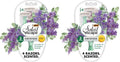 BIC Soleil Escape Scented Women's Disposable Razors, 3 Blades, Comfortable Shave, Lavender & Eucalyptus Scented Handle Shaving Razors for Women, 4 Count (Pack of 2)