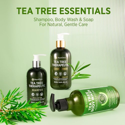 Roycederm Tea Tree Antifungal Shampoo - Medicated Folliculitis Treatment for Dry, Itchy Scalp | 2 Pack