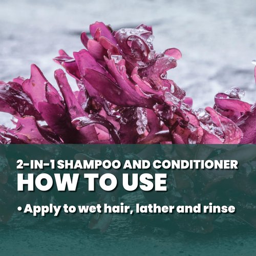 GREAT CLIPS LATITUDE 2-in-1 Shampoo + Conditioner | Daily Shampoo and Conditioner Set for Men | Promotes Full + Healthy Hair | 32oz | Packaging May Vary