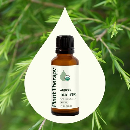 Plant Therapy Organic Tea Tree Oil - 100% Pure & USDA Certified Organic, Therapeutic Grade 30 mL (1 oz)