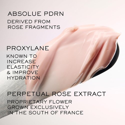 Lancôme Absolue The Soft Cream - Anti-Aging Moisturizer for Firmness & Hydration | All Skin Types, Refillable