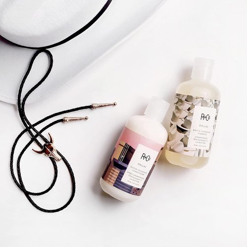 R+Co Dallas Thickening Shampoo - Biotin Infused for Hair Growth, Thickness & Strength | Vegan & Cruelty-Free
