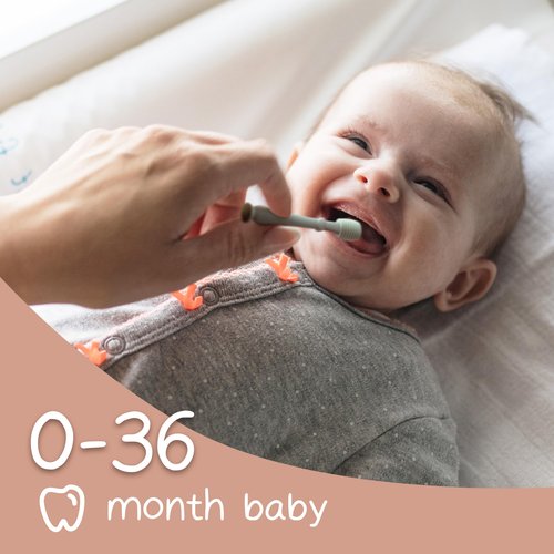 Moonkie Baby Finger Toothbrush Tongue Oral Cleaner Kit for 3 Months +, 3 Pcs (Blush/Pale Mauve/Blush)