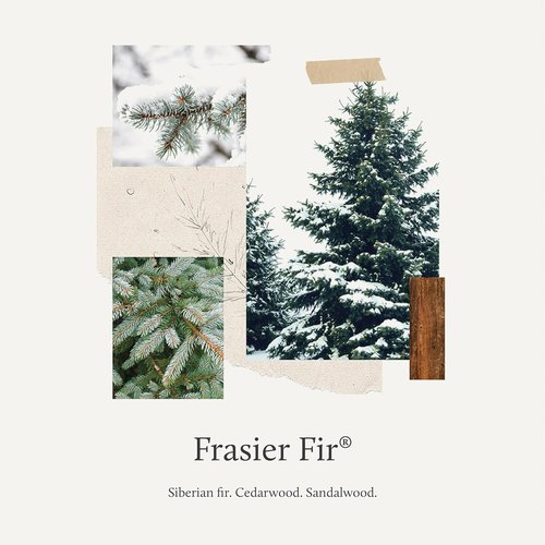 Thymes Laundry Detergent - Frasier Fir Scent - 32 Fl Oz | Eco-Friendly Cleaning Power
