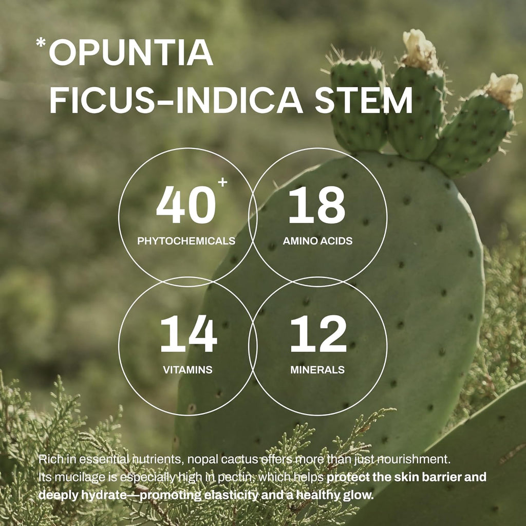 Whamisa Organic Cactus Bouncy Serum - 48H Inner Skin Moisture & 72H Hydration | Korean Facial Ampoule (52ml)