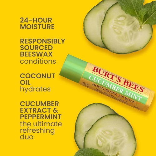 Burt's Bees Natural Moisturizing Lip Balm Multipack - Original Beeswax, Cucumber Mint, Coconut & Pear, Vanilla Bean - 4 Tubes