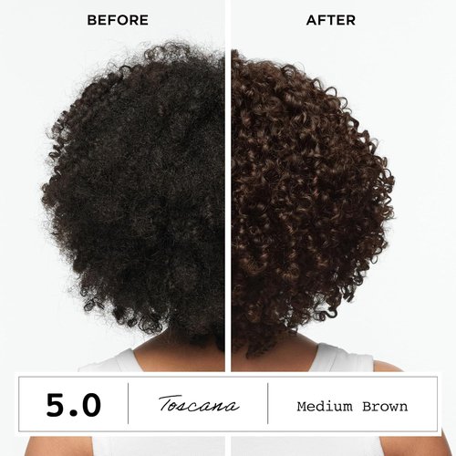 Clairol ColorStrong Permanent Hair Dye - Ammonia-Free, PPD-Free, 100% Gray Coverage, 2.8 Blue Black | Pack of 1