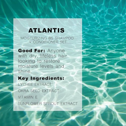 R+Co Atlantis B5 Shampoo & Conditioner Travel Set - Deep Hydration & Repair for Dry Hair | Vegan, Cruelty-Free | 2oz (Pack of 2)