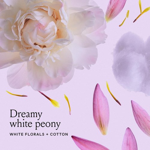 Billie Body Wash - Reviving & Renewing Formula | Cotton Cloud Scent, 18 fl oz, Vegan & Cruelty-Free