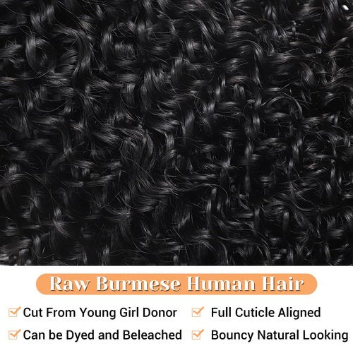2x6 HD Lace Closure Burmese Curly Transparent 2 by 6 HD Lace Closure 14 Inch 100% Brazilian Virgin Unprocessed Middle Part Human Hair Closure