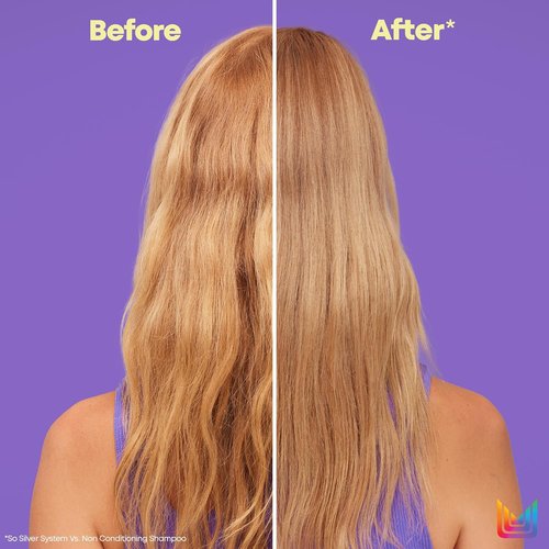 Matrix So Silver Deep Conditioning Conditioner - Revitalize Dull Blonde & Silver Hair | Vegan Formula for Dry, Damaged Hair