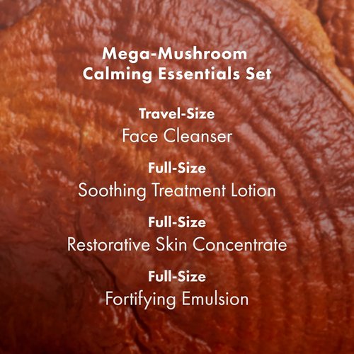Origins 4-Piece Mega-Mushroom Skin Repair Set - Cleanser, Treatment Lotion, Concentrate & Moisturizer for Sensitive Skin with Hyaluronic Acid & Reishi Mushroom