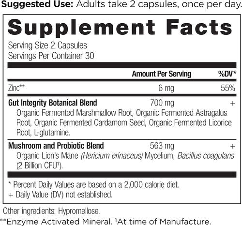 Ancient Nutrition Gut Health Supplement - Leaky Gut Capsules with Licorice Root & L-Glutamine | 60 Count