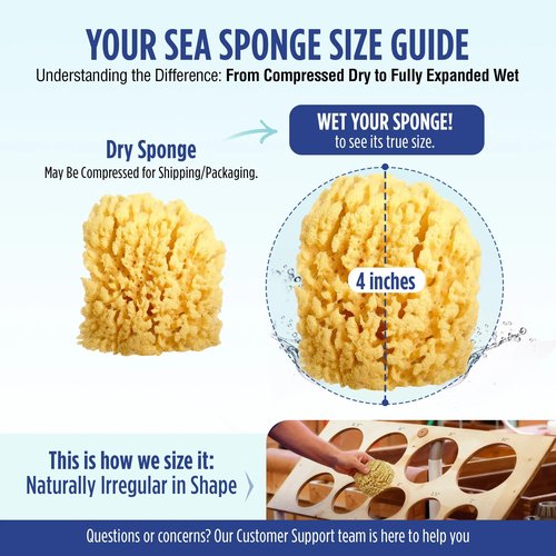 Baby Buddy Baby Bath 4in Yellow Sea Sponge, Absorbent Natural Sea Sponge, Soft on Tender Skin, Biodegradable, Hypoallergenic, Bath Accessories for Bathing, 3 Pack