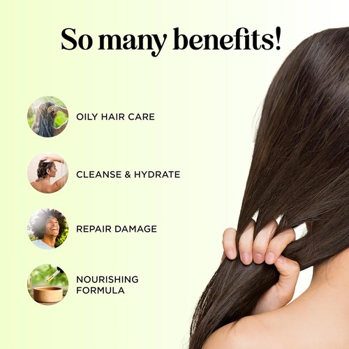 Regine Switzerland Tea Tree Conditioner - Sulfate-Free Formula for Dry Hair & Scalp Care