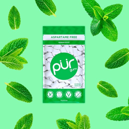 PUR Gum - Aspartame Free Chewing Gum | Natural Spearmint Flavor | 55 Pieces Pack