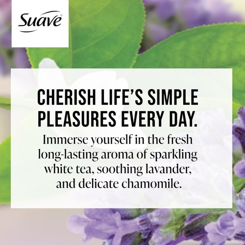 Suave Body Wash Variety 2-Pack, Ocean Breeze + White Tea & Lavender – Gentle Body Washes with Fresh Blend Oil Essence, 18 Oz Ea