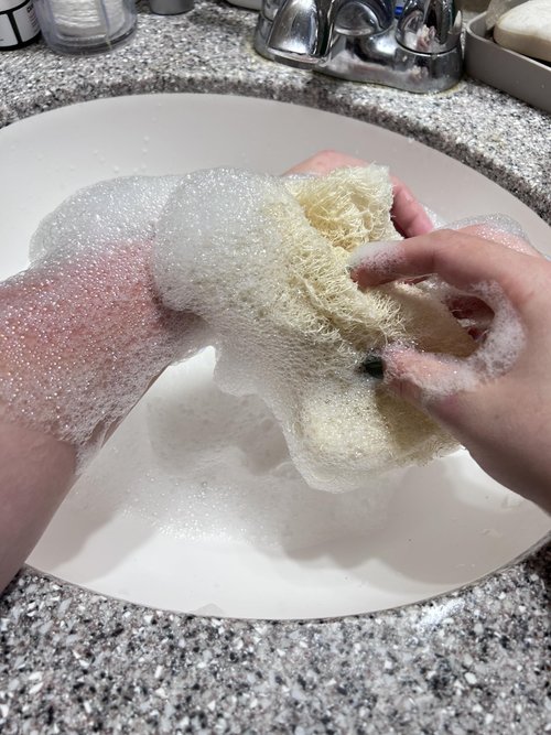 Premium Organic Loofah Sponge Medium 6“ | Loofah for Bath & Shower | Body Scrubber for Shower Scrubbing | Eco Friendly 100% Natural & Biodegradable | Daily Skin Cleansing Care for Women and Men