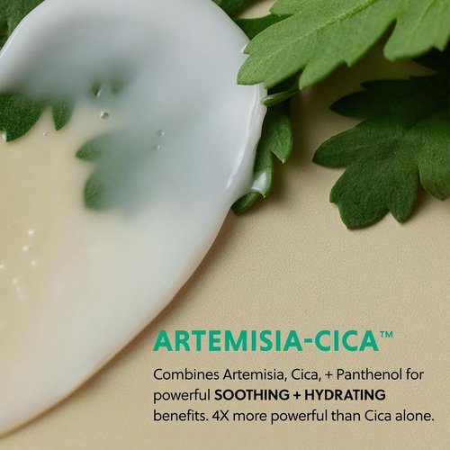 HANYUL Artemisia Soothing Gel Cream - Hydrating Moisturizer with Centella Asiatica & Niacinamide | 1.86 fl. oz.