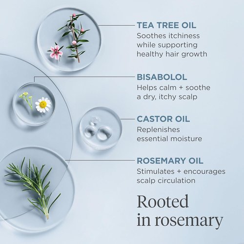 Briogeo Scalp Revival Rosemary Pre-Wash Oil - Moisturizing Treatment for Dry, Flaky Scalp | Strengthens Hair & Soothes | Vegan & Cruelty-Free