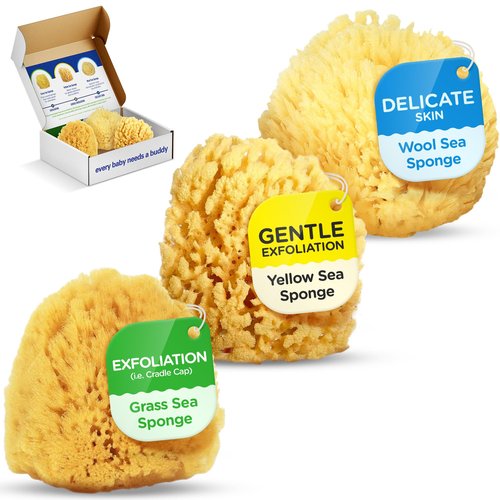 Baby Buddy Baby Bath 4in Assorted Sea Sponges, Absorbent Natural Sea Sponge, Soft on Tender Skin, Biodegradable, Hypoallergenic, Bath Accessories for Bathing, 3 Pack