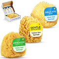 Baby Buddy Baby Bath 4in Assorted Sea Sponges, Absorbent Natural Sea Sponge, Soft on Tender Skin, Biodegradable, Hypoallergenic, Bath Accessories for Bathing, 3 Pack