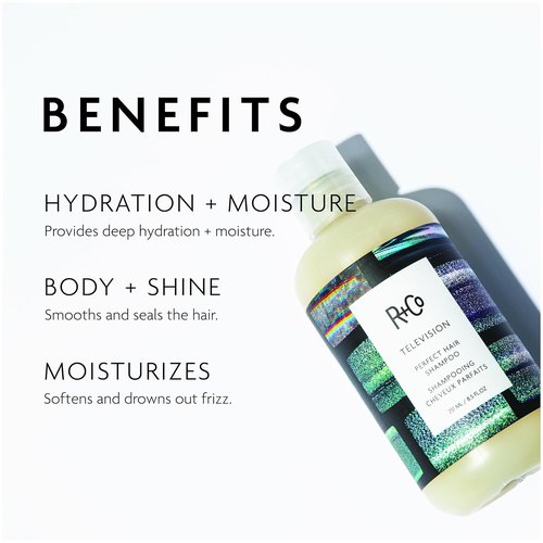 R+Co TELEVISION Perfect Hair Shampoo - Hydrating & Smoothing Cleanser for All Hair Types, Adds Shine & Softness