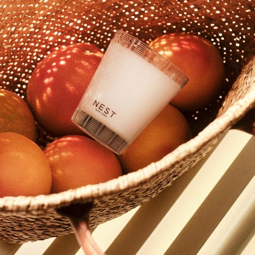 NEST New York Scented Classic Candle - Grapefruit Fragrance | 8.1 oz | 60-Hour Burn Time