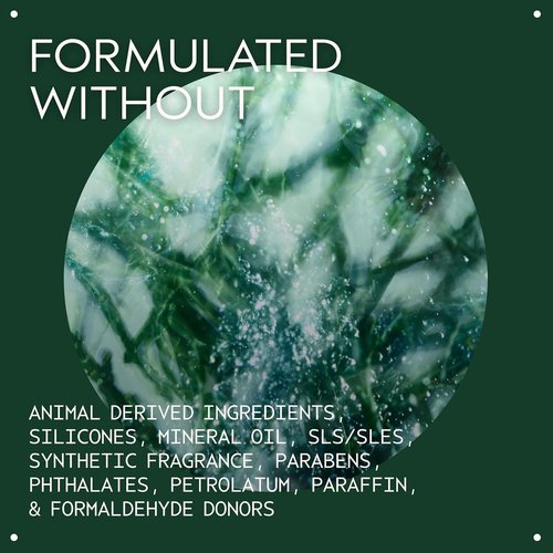 Aveda Botanical Kinetics Exfoliant - Liquid Exfoliant for All Skin Types | Smooths and Refines Skin, 5 Fl Oz