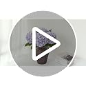 Pale Purple Hydrangea Artificial Flowers - 19.6 Inch Faux Bouquet, 4-Pack for Indoor & Outdoor Decor