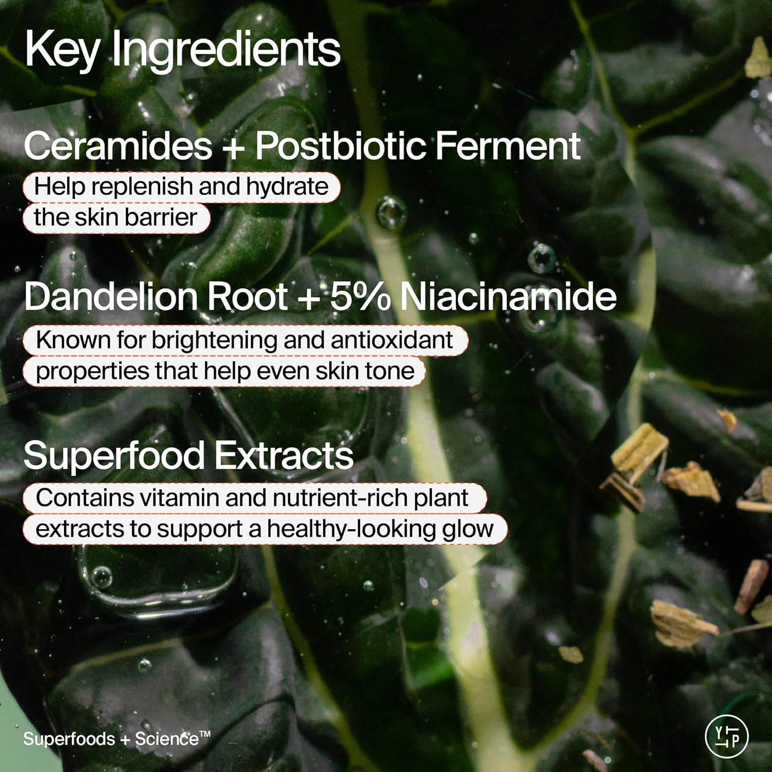 Youth To The People Superfood Skin Drip Face Serum - Strengthens Skin Barrier & Evens Tone | 1 fl oz, Vegan, 5% Niacinamide