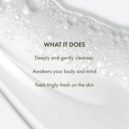 Origins Peace of Mind Daily Body Wash | Cleanses Skin & Awakens Your Senses| With Our Signature Scent of Peppermint, Basil and Eucalyptus, 6.7 Fl Oz