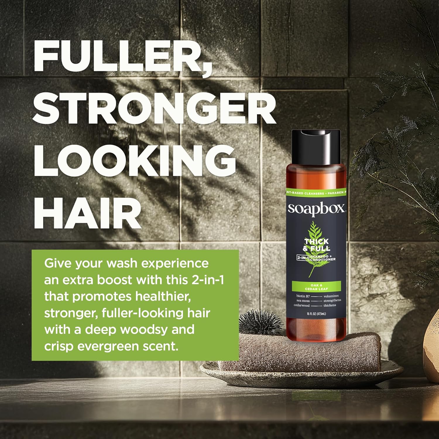 Soapbox Men's 2-in-1 Shampoo and Conditioner - Natural Oak & Cedar Leaf, 16oz