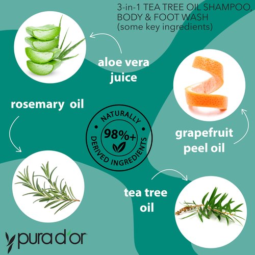 PURA D'OR 3-in-1 Tea Tree Shampoo, Body & Foot Wash, Shampoo (16oz x2 = 32oz) Total Body Care - Foot Odor & Daily Hygiene, Cleansing Routine, Post-Workout Refreshment - Soothes, Invigorates, Nourishes