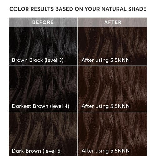 Madison Reed Radiant Hair Color Kit - 5.5NNN Dark Brown with Warm Golden Tones | 100% Gray Coverage, PPD-Free & Ammonia-Free