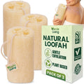 Verde Living 100% Natural Loofah Sponge for Body - 3 Loofa Pack 6 Inch Exfoliating Sponge with Drawstring - Large Organic Shower Loofah for Men and Women