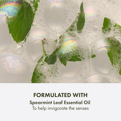 Origins Checks and Balances Frothy Face Wash - Gentle Cleanser for All Skin Types with Mint