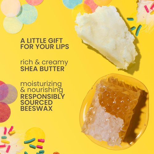 Burt's Bees Lip Balm Party Pack - Natural Moisturizing Treatment, 4 Tint-Free Flavors, 0.15 oz Each