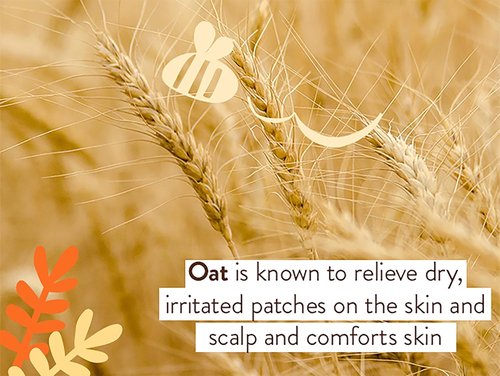 BABO Botanicals Healing Ointment | Fragrance-Free, 99% Organic & Steroid-Free for Eczema Relief - Face & Body