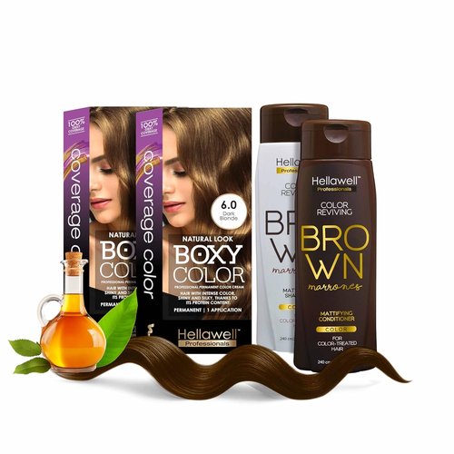 Professional Coloring Kit - Permanent Hair Dye for Gray Coverage | 6.0 Dark Blonde + Revitalizing Shampoo & Conditioner