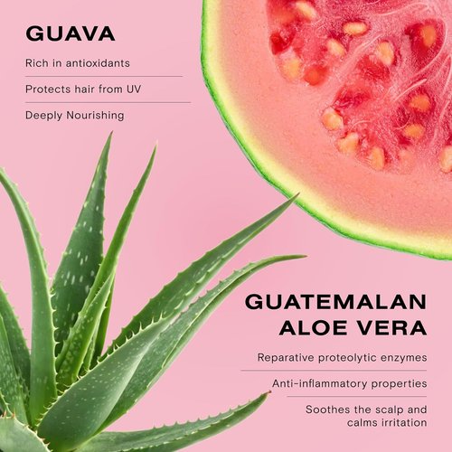 Ceremonia Guava Protect & Repair Conditioner - Nourishing Aloe Vera for Damaged Hair | 1.69 Fl. Oz.