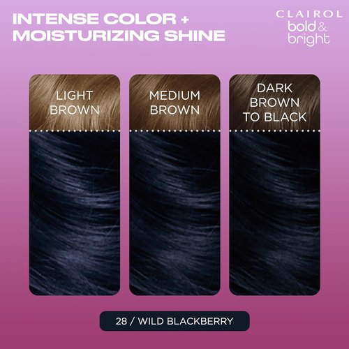 Clairol Bold & Bright Hair Dye - Wild Blackberry Permanent Color | Single Pack