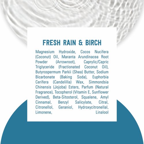 Schmidt's Aluminum-Free Vegan Deodorant Fresh Rain & Birch with 24 Hour Odor Protection, for Women and Men, Natural Ingredients, Cruelty-Free, 2.65 oz