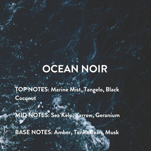 Michael Malul Ocean Noir Eau de Parfum for Men - 10ml Travel Size Fragrance